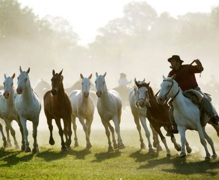 La Municipalidad de San Antonio de Areco invita este domingo 4 de junio a la “4ta Fiesta de Tropillas Entabladas” que se realizará en el Parque Criollo Ricardo Güiraldes de la capital nacional de la tradición. La entrada es libre y gratuita.