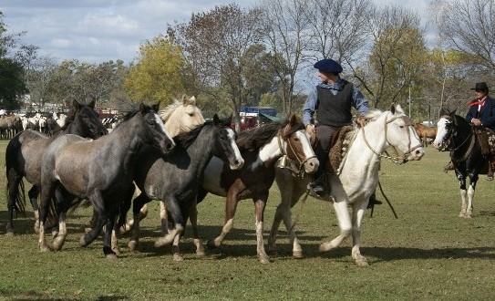 La Municipalidad de San Antonio de Areco invita este domingo 21 de mayo a la 4ª Fiesta de Tropillas Entabladas que se realizará en el Parque Criollo “Ricardo Güiraldes” de la capital nacional de la tradición. La entrada será libre y gratuita.