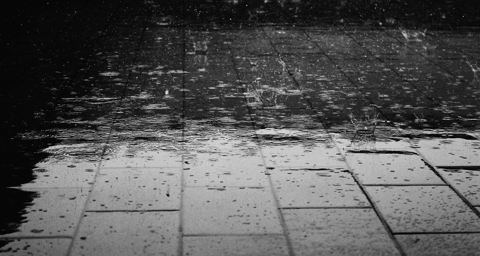 El municipio local informa que ya está disponible para los vecinos la app del Sistema de Alerta Temprana, que permite tener en el celular todos los datos del clima en San Antonio de Areco, incluyendo el estado del río y alertas meteorológicas.