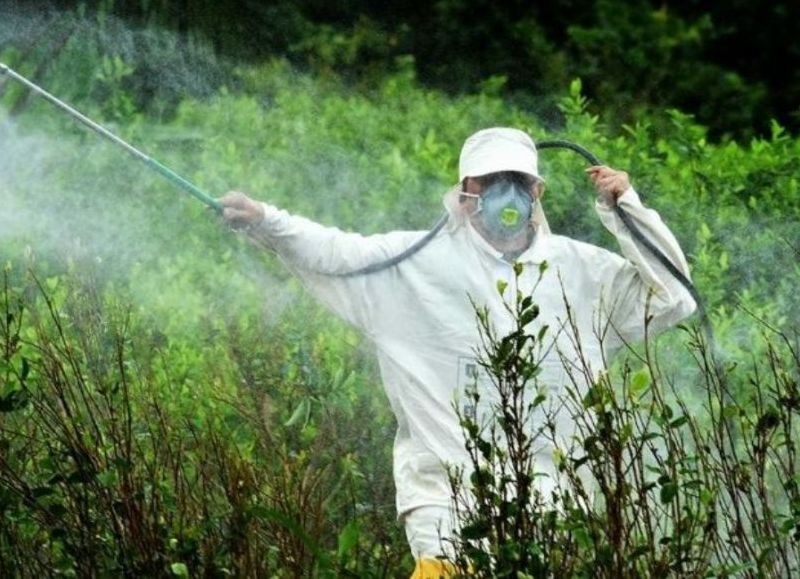 Los herbicidas que contengan el químico glifosato serán restringidos por zonas.