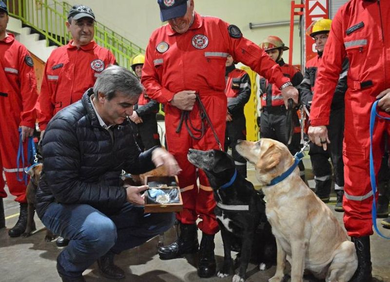 Tanto el municipio como la comunidad arequera aplauden este reconocimiento.