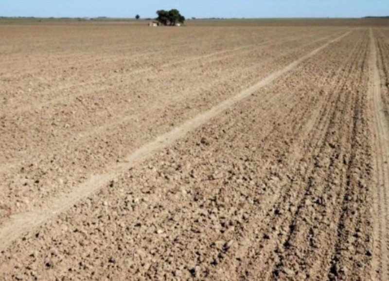 La medida fue evaluadandebido a la sequía que afecta a gran parte de la Provincia.