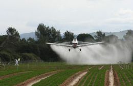 Estados Unidos condena a Monsanto mientras que en Areco la fumigación aérea ya fue prohibida en 2017