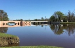 Arrancó la temporada de poda en la ciudad