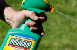 Las estrategias de Monsanto para aniquilar las afirmaciones de los expertos sobre los peligros del glifosato