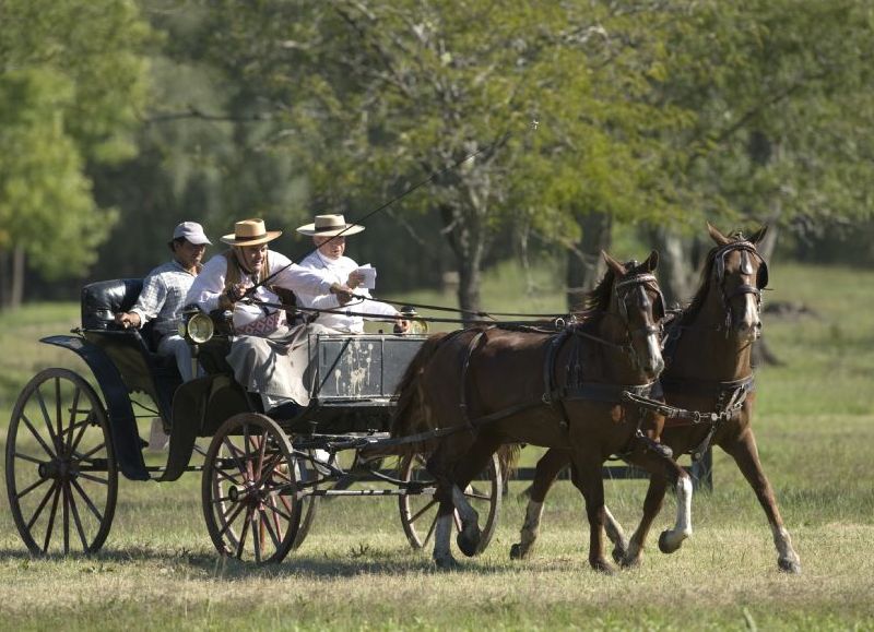 Nuevamente, la Capital Nacional de la Tradición se vestirá de fiesta.