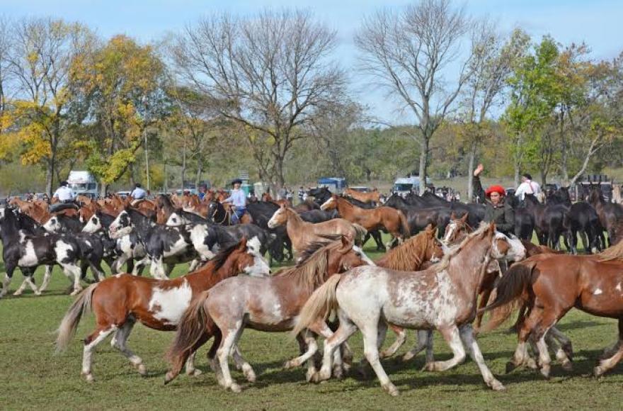 Se viene la Fiesta de las Tropillas Entabladas y Jineteada