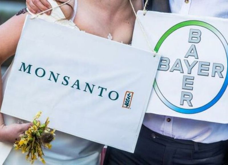 Monsanto se vanagloria del aumento de ventas de su herbicida con glifosato Roundup en plena oleada de demandas por su efecto cancerígeno