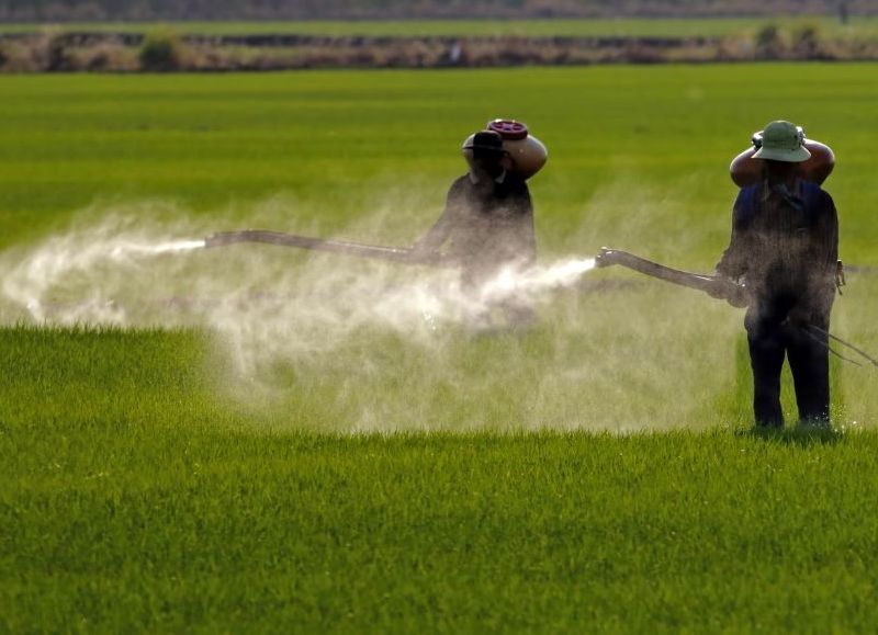 Bayer ya sufrió tres condenas en California, por las cuales debe pagar indemnizaciones millonarias.