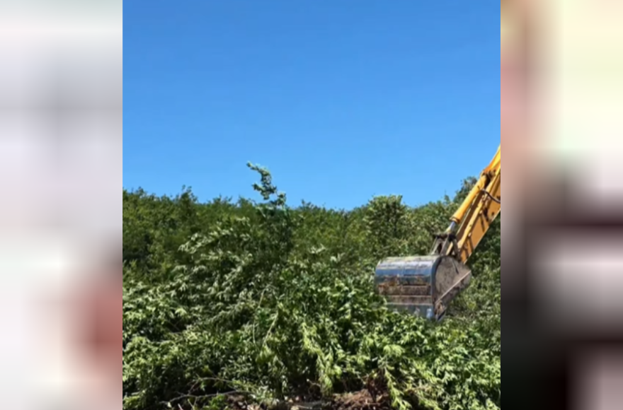 Este tramo permitirá unir el trabajo ya realizado río arriba, en la Estancia La Invernada, y continuar el despeje hacia nuestro casco urbano.