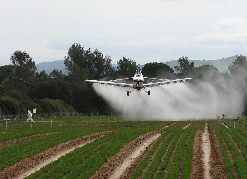 En San Antonio de Areco la fumigación aérea lleva más de un año prohibida totalmente.