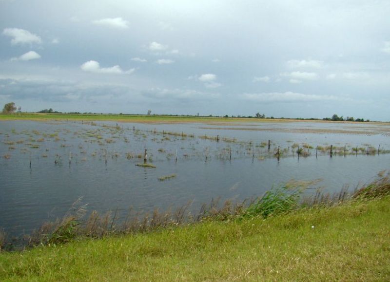 El interior bonaerense atraviesa una situación crítica por las inundaciones.