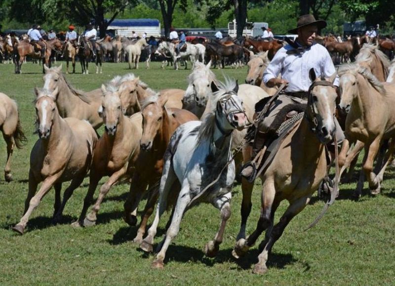 Múltiples festejos en las calles de la ciudad.