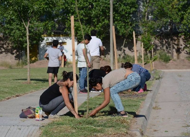 Trabajos para la comodidad y acondicionamiento de los espacios verdes.