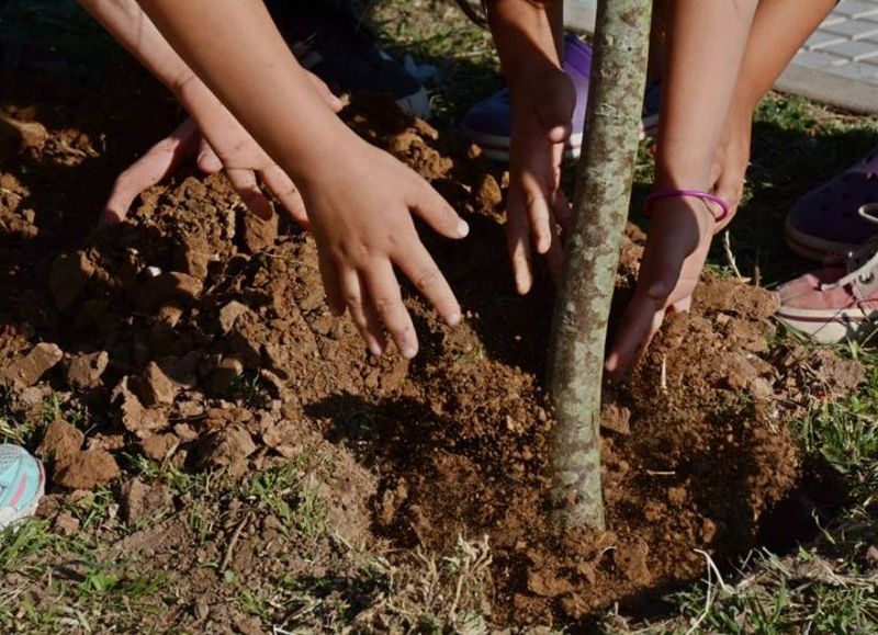 Trabajos para la comodidad y acondicionamiento de los espacios verdes.