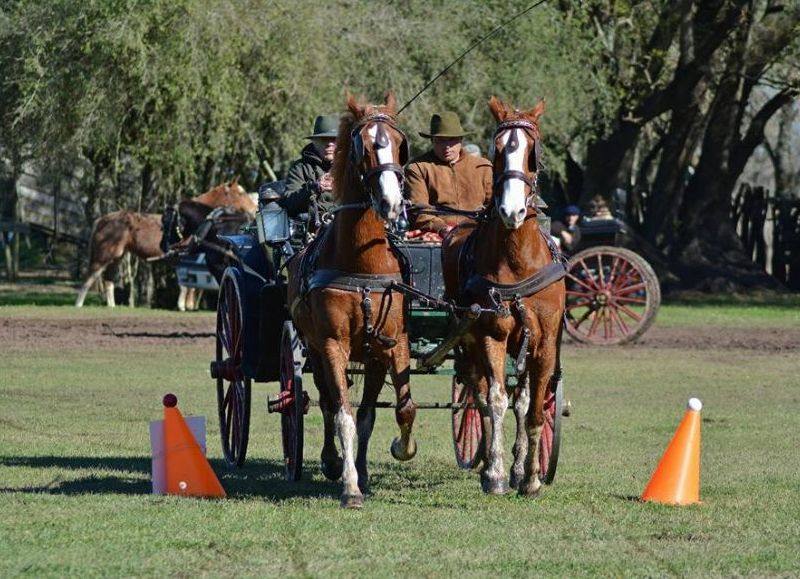 San Antonio de Areco fue sede de una nueva edición de la Atada Campo Afuera.