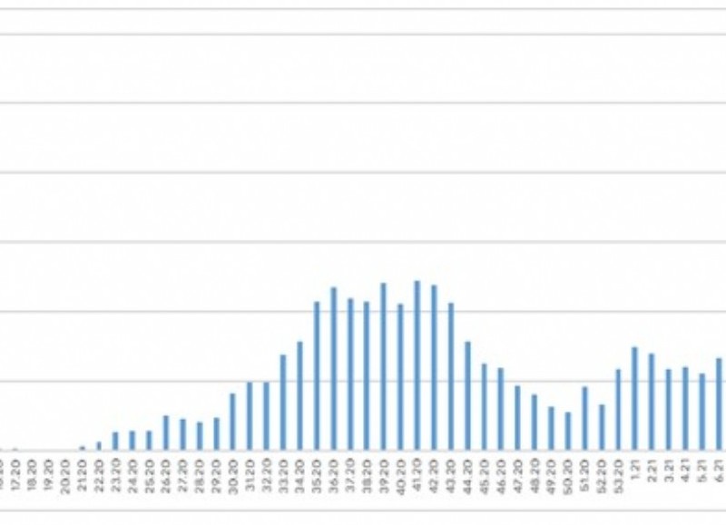 En Zárate, ésta última significó el 1,9 por ciento del total de casos y acumuló en 2021 el 8,5 por ciento de todos los casos.