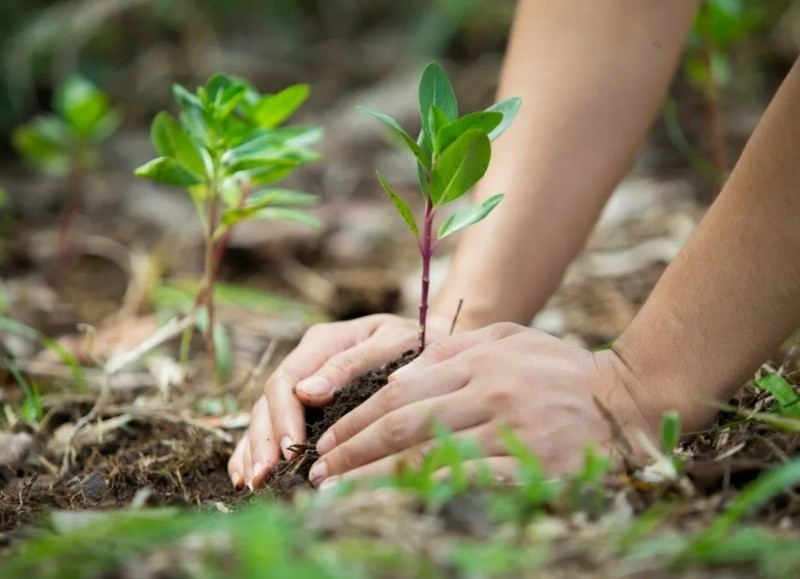 El objetivo es concientizar a las personas sobre el cuidado del ambiente y el valor que tienen los residuos en el circuito de la economía circular. 