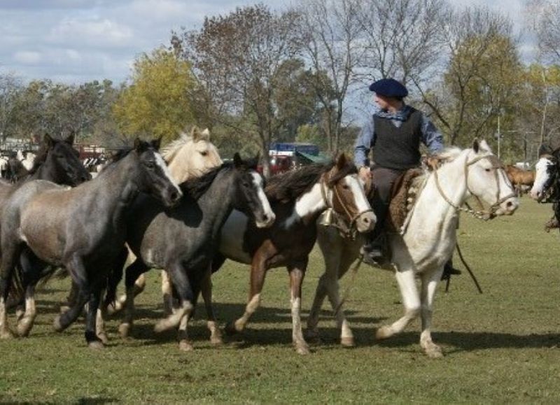 Habrá caballos elegidos, montas especiales y participarán los mejores jinetes del país.