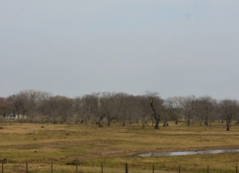 "Los invitamos este domingo a recorrer juntos nuestra Reserva Natural", anunció la comuna para este domingo a partir de las 19.30 horas.