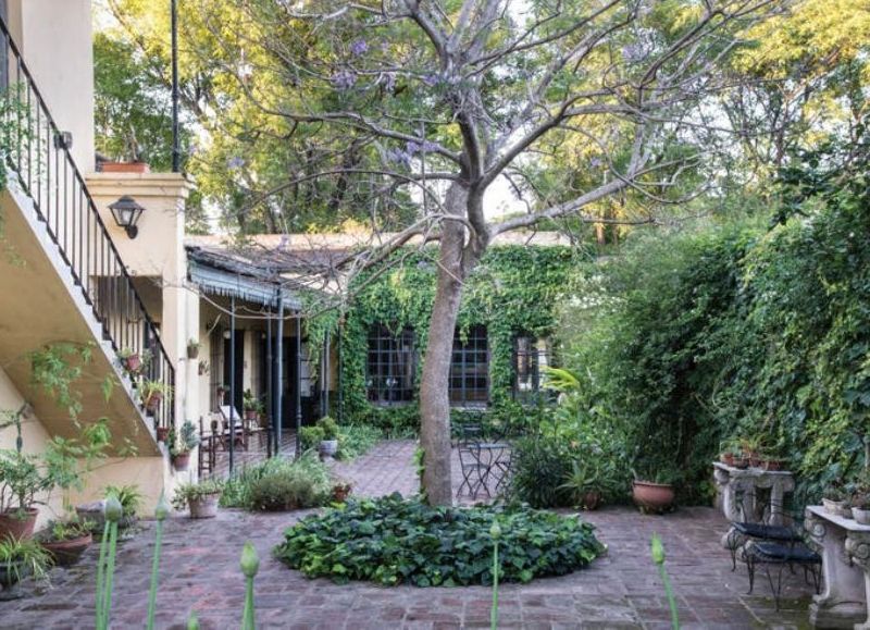 En el patio, un jacarandá ocupa el centro de la escena.