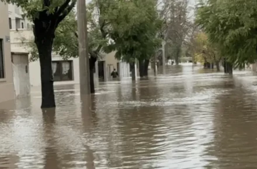 La ayuda será otorgada por única vez.