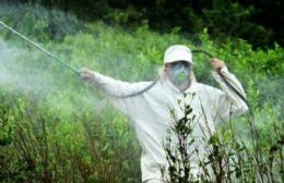 Costa Rica le pone un freno al uso del glifosato, origen de diversas enfermedades