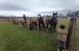 Se realizó el Día de Campo