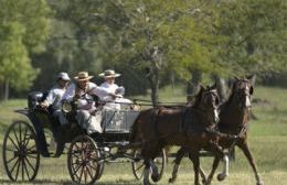 Atada Campo Afuera 2017: desfile y competencia de carruajes en Areco