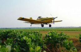 Se prohibió la fumigación aérea en todo el distrito