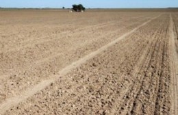 San Antonio de Areco entre los once municipios en donde la Provincia declaró la emergencia agropecuaria