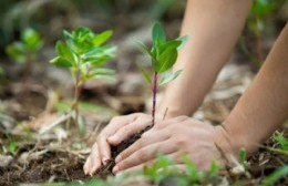 Nuevo programa por el Día nacional de la Conciencia Ambiental