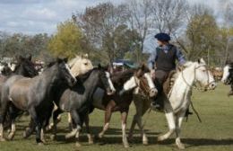 Este domingo, llega la cuarta Fiesta de Tropillas Entabladas