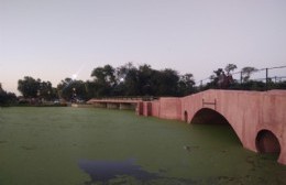 La Provincia declaró al Río Areco en alerta rojo por el nivel de cianobacterias