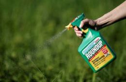 Polémico fallo determina que Monsanto pagará una indemnización reducida por los efectos mortales de su herbicida